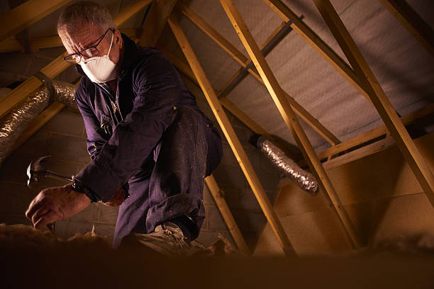 Best Specialized Insulation Services in Missouri City, TX