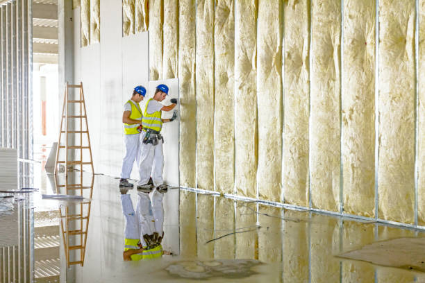 Best Cellulose Insulation in Missouri City, TX